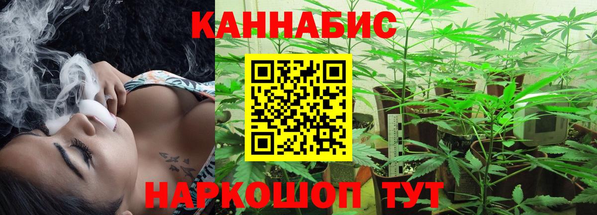 Бошки марихуана OG Kush Белебей